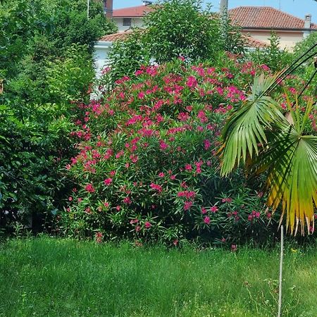 Alloggio Silva Gorizia Buitenkant foto