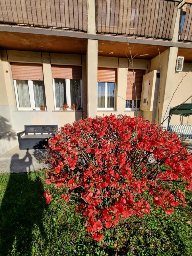 Alloggio Silva Gorizia Buitenkant foto