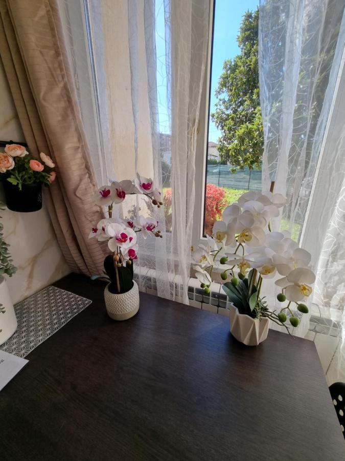 Alloggio Silva Gorizia Buitenkant foto