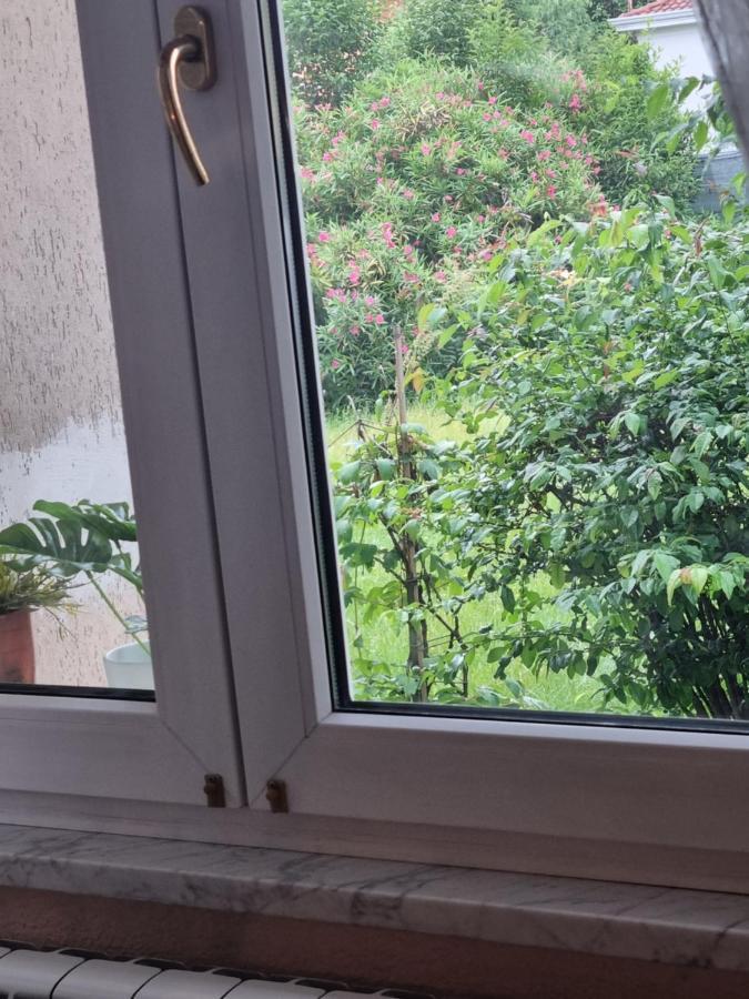 Alloggio Silva Gorizia Buitenkant foto